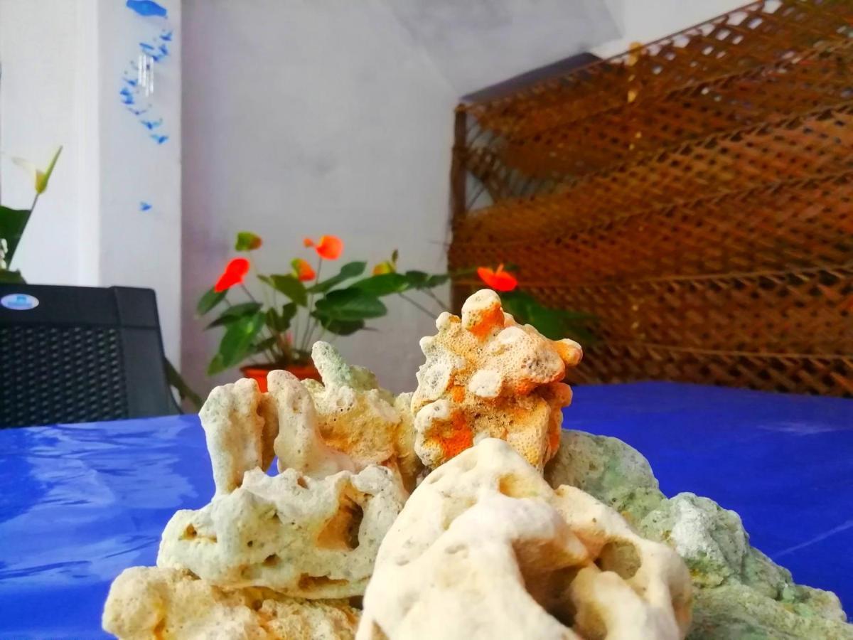 New Coral Garden Weligama酒店 外观 照片